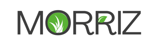 Morriz